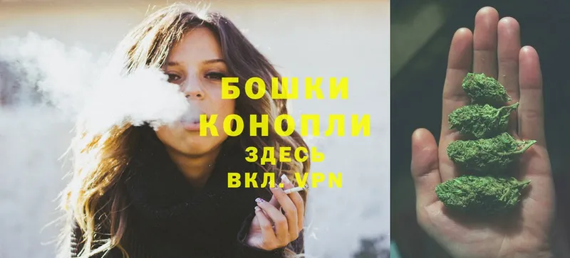 shop телеграм  Александровск  Каннабис Ganja  закладки 